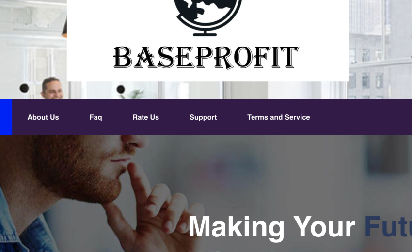 Baseprofit.online Review